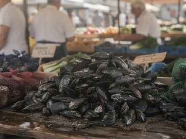 découvrez comment choisir les moules de saison au marché pour garantir fraîcheur et qualité. guide pratique pour savourer les meilleures moules pendant leur période idéale.
